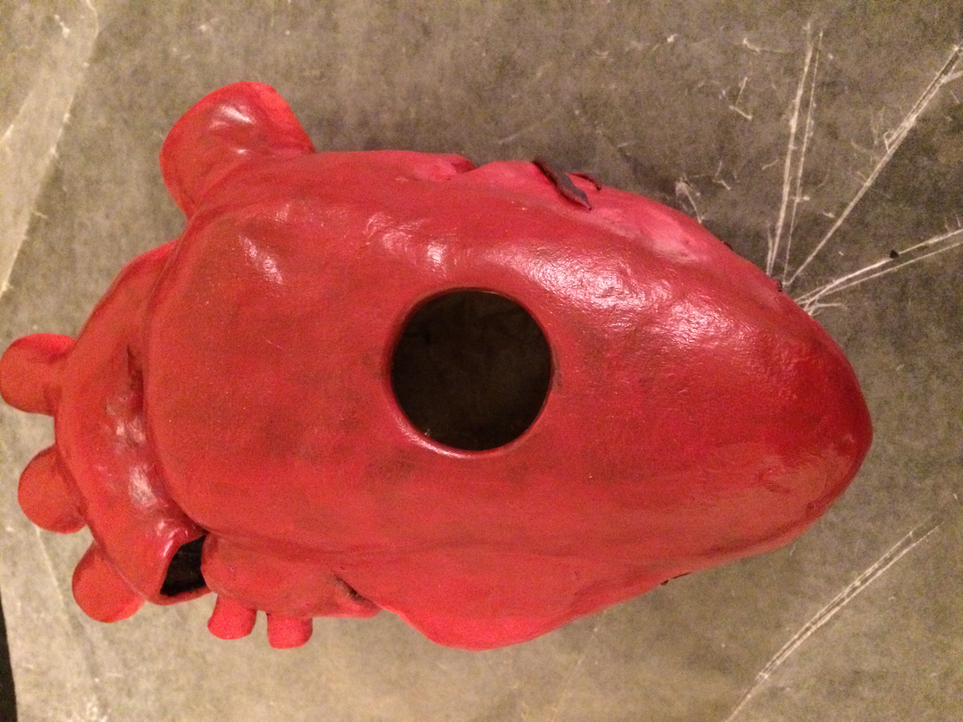 bottom view